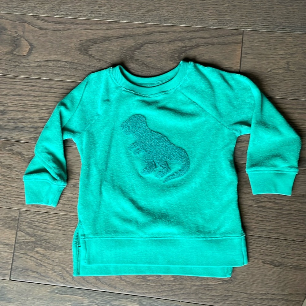2T long sleeve green dinosaur sweatshirt